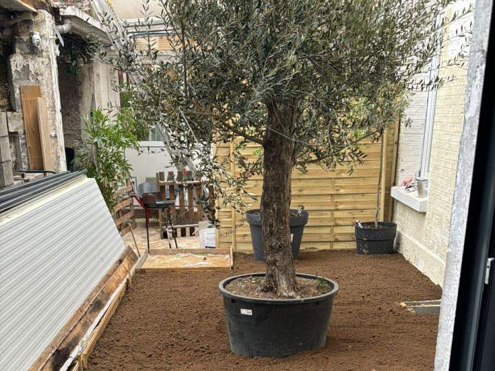 Aménagement extérieur Cambrai